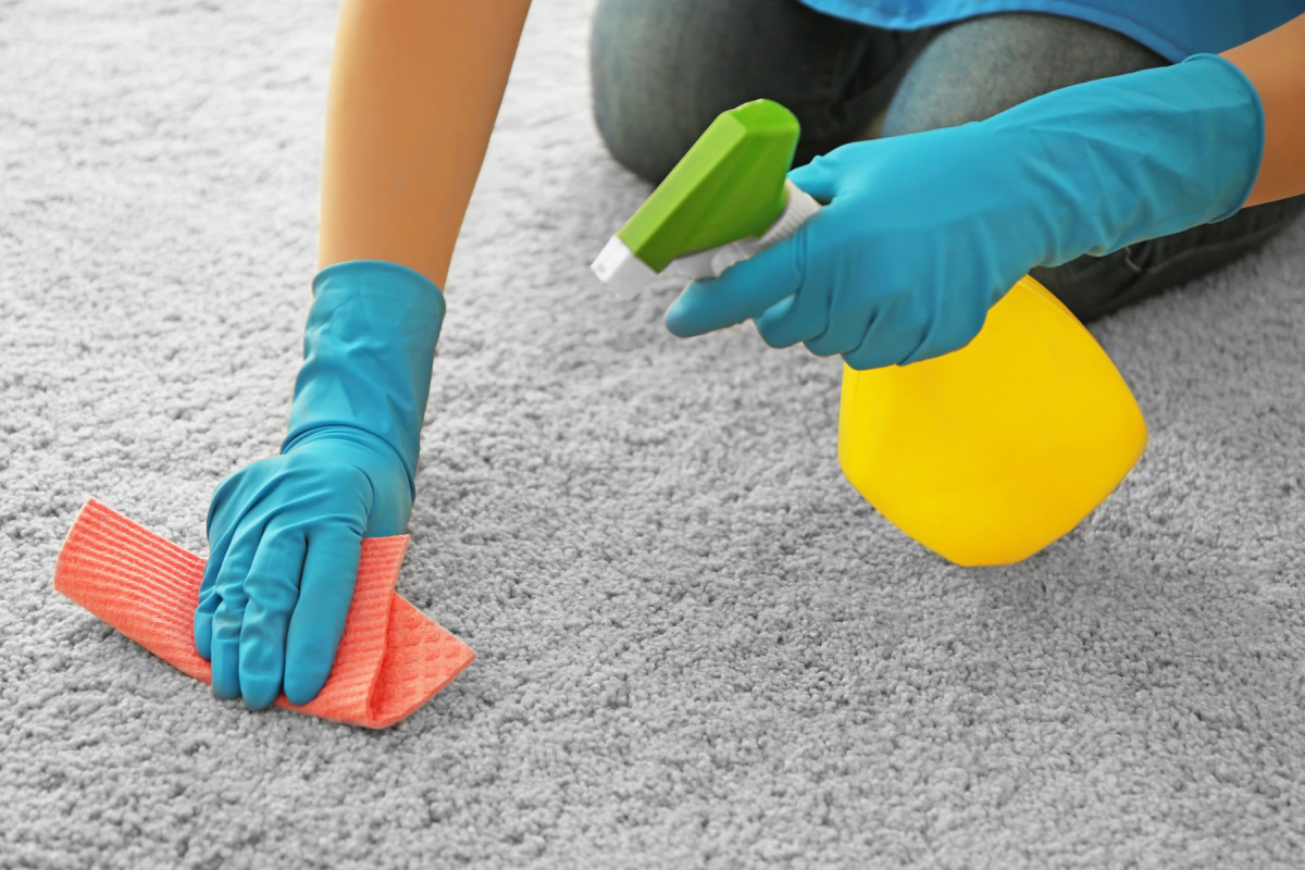 The Guide to Carpet Cleaning: Tips, Tools, and Techniques