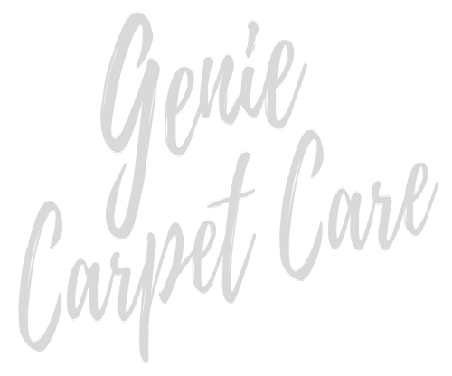 Genie Carpet Care